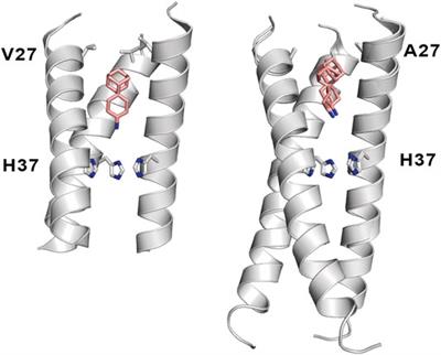 From Acid Activation Mechanisms of Proton Conduction to Design of Inhibitors of the M2 Proton Channel of Influenza A Virus